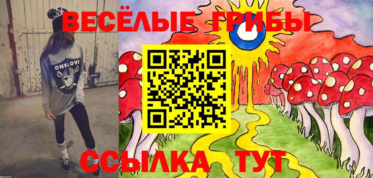 Балашиха  Псилоцибиновые грибы Psilocybe  Вход с VPN 