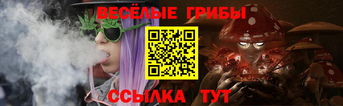 Псилоцибиновые грибы прущие грибы Балашиха